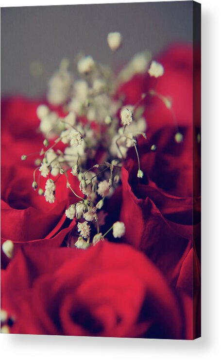 Roses Acrylic Print featuring the photograph Breath by Laurie Search