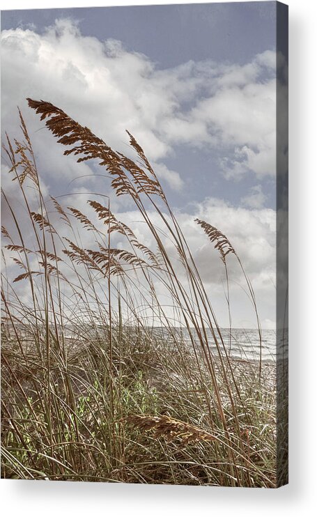 Clouds Acrylic Print featuring the photograph Breezy Soft Beach Morning by Debra and Dave Vanderlaan