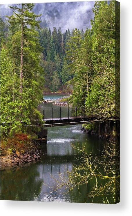Alex Lyubar Acrylic Print featuring the photograph Bridge over the forest stream by Alex Lyubar