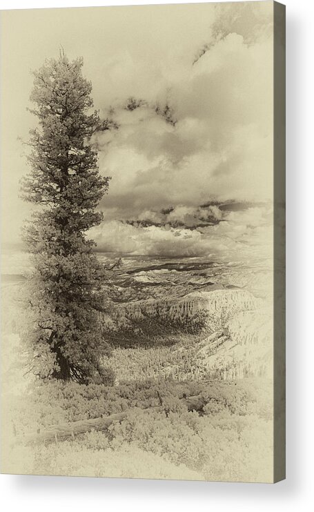 Bryce Acrylic Print featuring the photograph Bryce Canyon Overlook by Jim Cook