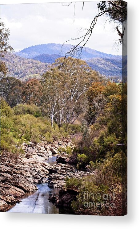 River Acrylic Print featuring the photograph Buffalo River by Linda Lees