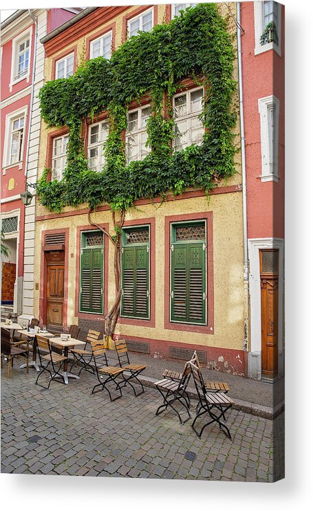 Germany Acrylic Print featuring the photograph Building with Ivy in Germany by Deborah Penland