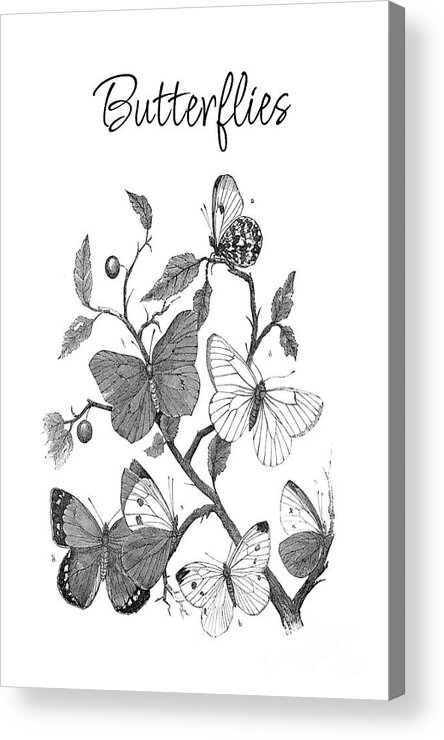 Butterflies Acrylic Print featuring the mixed media Butterflies by Tina LeCour