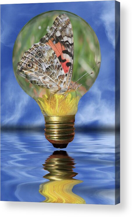 Lightbulb Acrylic Print featuring the photograph Butterfly In Lightbulb by Shane Bechler