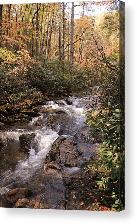 Water Acrylic Print featuring the photograph By the water's edge by Karen Ruhl