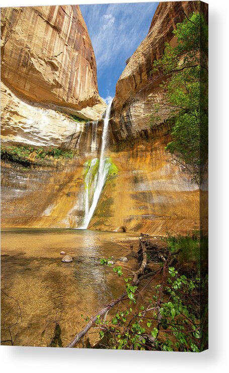 Utah Acrylic Print featuring the photograph Calf Creek Falls Vertical by Aaron Spong