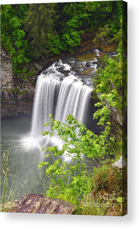 Cane Creek Falls Acrylic Print featuring the photograph Cane Creek Falls 11 by Phil Perkins