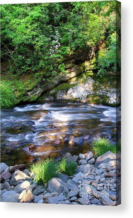 Smoky Mountains Acrylic Print featuring the photograph Cascades On Little River 5 by Phil Perkins
