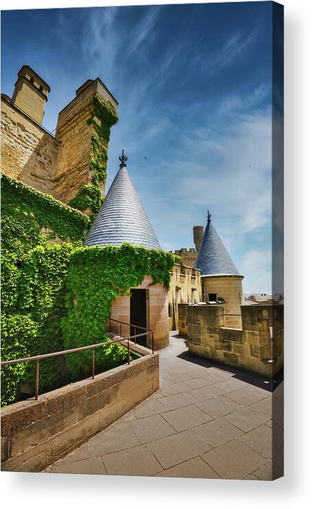 Castle Acrylic Print featuring the photograph Castle rampart by Micah Offman