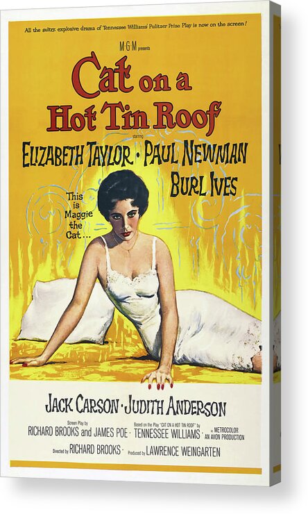 1950s Acrylic Print featuring the photograph CAT ON A HOT TIN ROOF -1958-, directed by RICHARD BROOKS. by Album