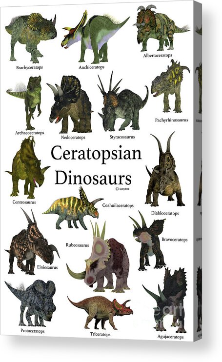 Ceratops Acrylic Print featuring the digital art Ceratopsian Dinosaurs by Corey Ford