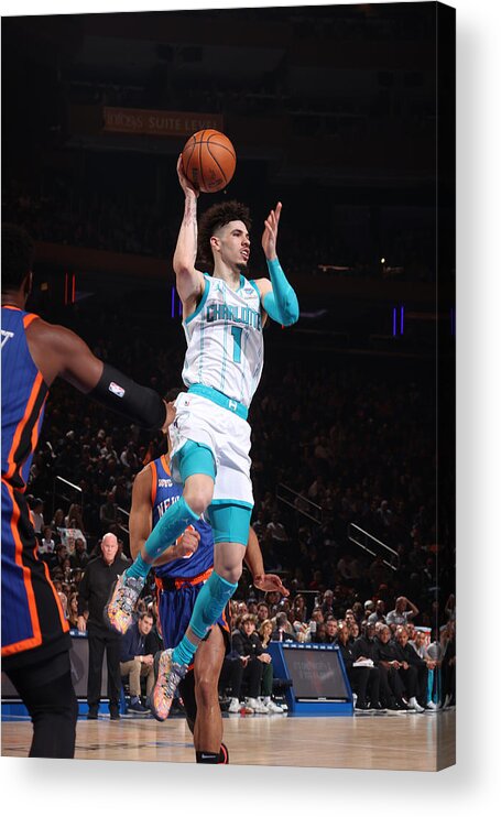 Nba Pro Basketball Acrylic Print featuring the photograph Charlotte Hornets v New York Knicks by Nathaniel S. Butler