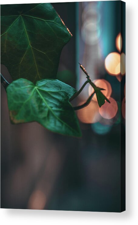 Chicago Acrylic Print featuring the photograph City Bokeh by Nisah Cheatham
