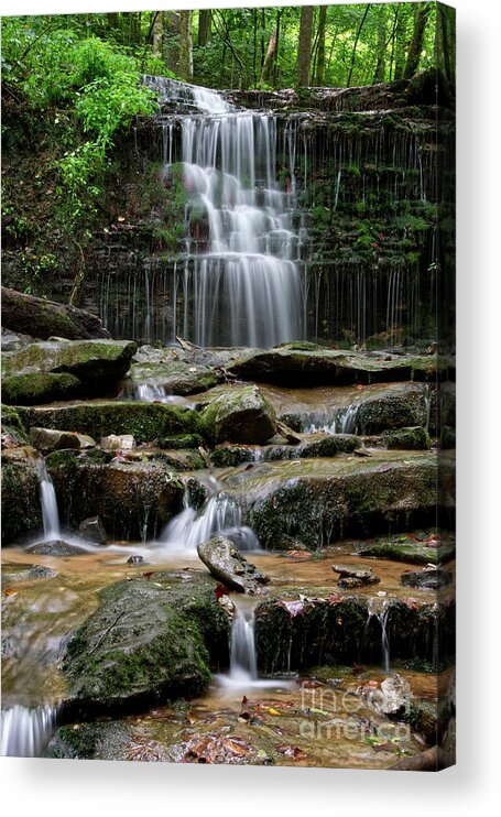 Waterfalls Acrylic Print featuring the photograph City Lake Falls 15 by Phil Perkins