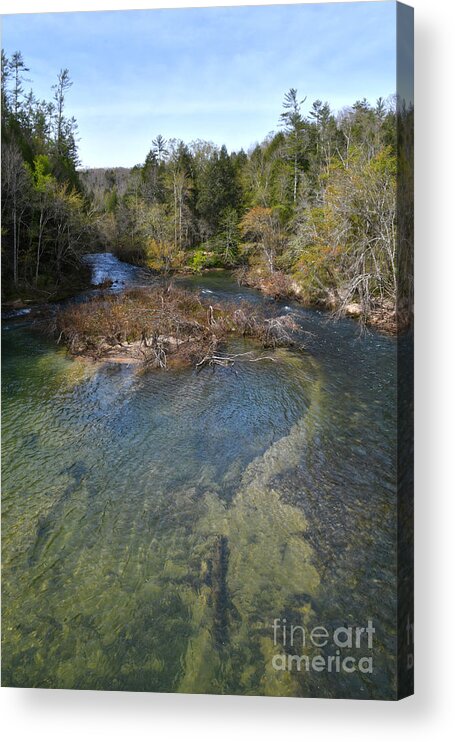 Tennessee Acrylic Print featuring the photograph Clear Creek At Obed 4 by Phil Perkins