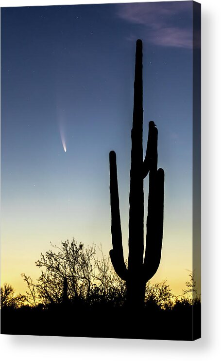 American Southwest Acrylic Print featuring the photograph Comet NEOWISE and Saguaro by James Capo