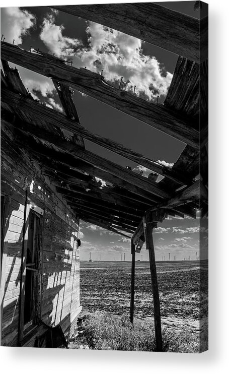 Cotton Acrylic Print featuring the photograph Cotton House by Peyton Vaughn