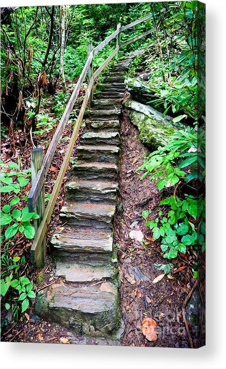 Crabtree Falls Acrylic Print featuring the mixed media Crabtree Falls Hiking Trail by Sandi OReilly