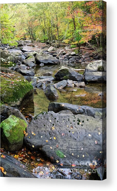 Waterfall Acrylic Print featuring the photograph Crooked Fork Creek 5 by Phil Perkins