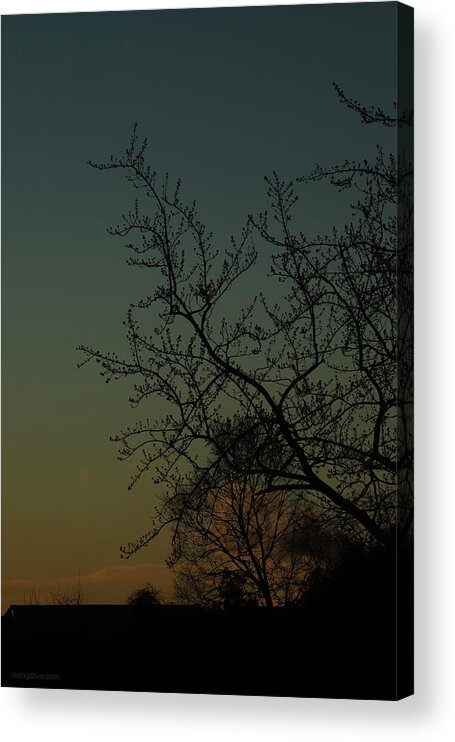 Sunrise Dawn Winter Trees Dark Cyan Morning Acrylic Print featuring the photograph Cyan Morning from Rivendell March 3 2021 by Miriam A Kilmer