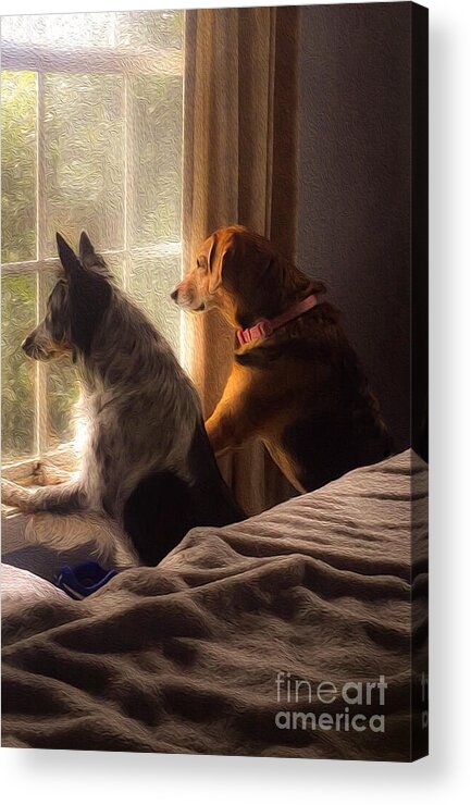 Dog Acrylic Print featuring the mixed media Daddy's Home by Shelia Hunt