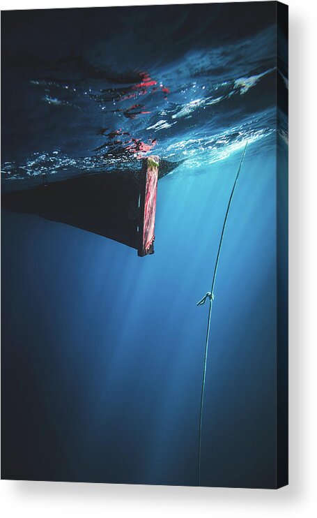 Dive Acrylic Print featuring the photograph Descending by Sina Ritter