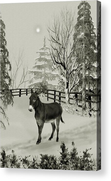 Donkey Acrylic Print featuring the mixed media Donkey In The Winter Corral B W by David Dehner