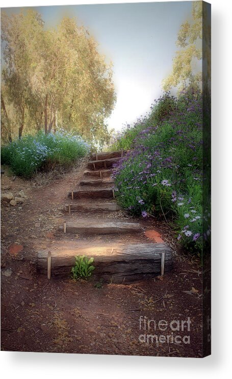 Garden Acrylic Print featuring the photograph Dream Steps by Elaine Teague
