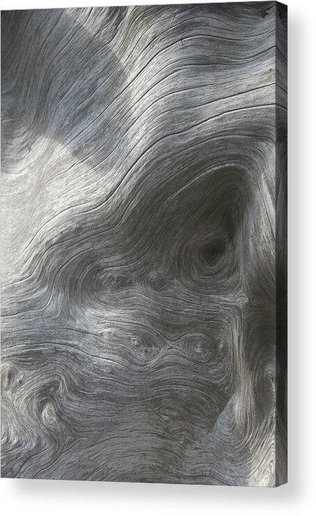 Driftwood Flow Acrylic Print featuring the photograph Driftwood Flow by Dylan Punke
