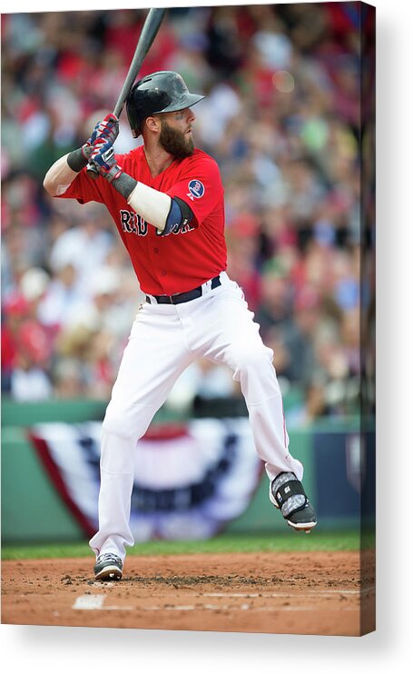 Playoffs Acrylic Print featuring the photograph Dustin Pedroia by Rob Tringali