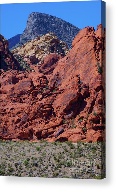  Acrylic Print featuring the photograph Earth Contrasts by Rodney Lee Williams