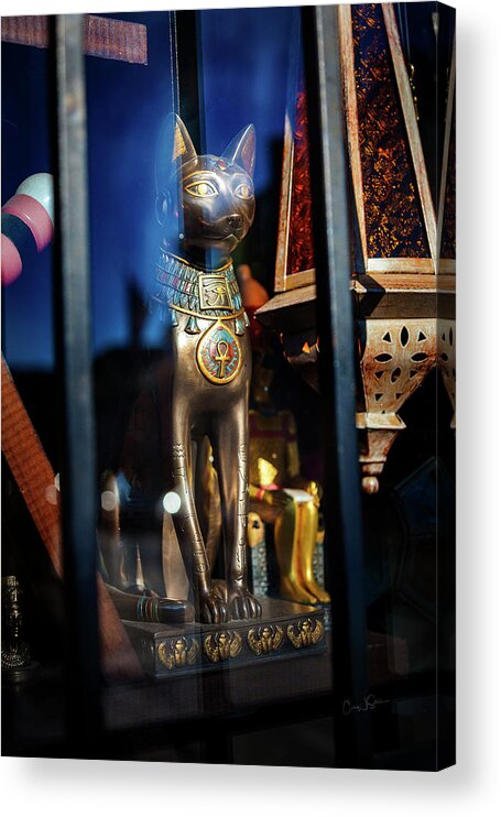 Egypt Acrylic Print featuring the photograph Egyptian Cat by Craig J Satterlee
