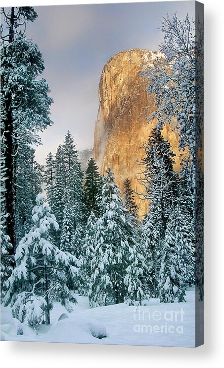 North America Acrylic Print featuring the photograph El Capitan on a Winter Morning Yosemite National Park California by Dave Welling