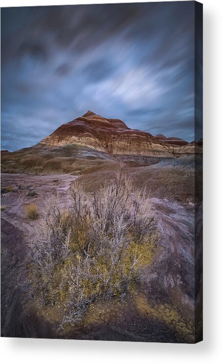 ~ Beauty Of The Desert ~ Canyonlands Acrylic Print featuring the photograph Escalante 7 by Robert Fawcett