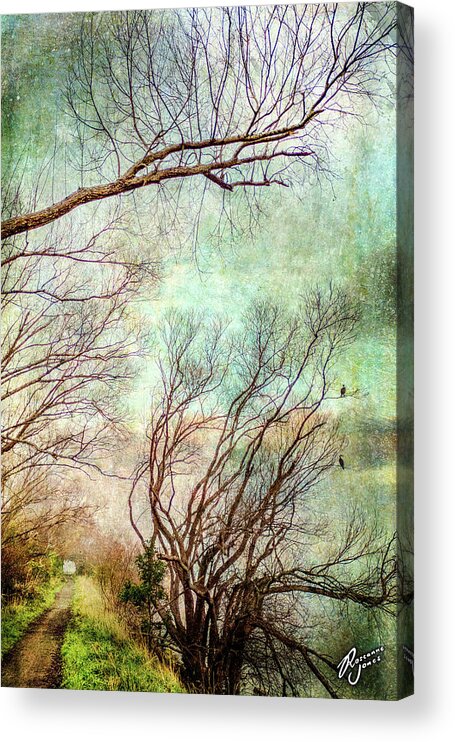 Tree Acrylic Print featuring the photograph Evening Shags by Roseanne Jones