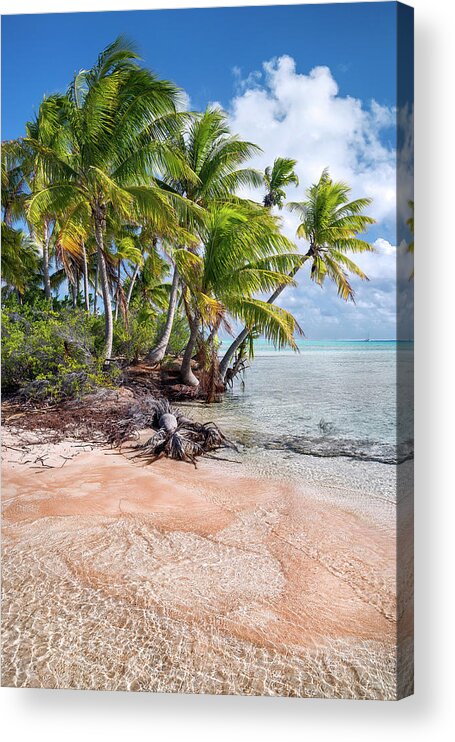 Fakarava Acrylic Print featuring the photograph Fakarava - Pink sands and coconut trees by Olivier Parent