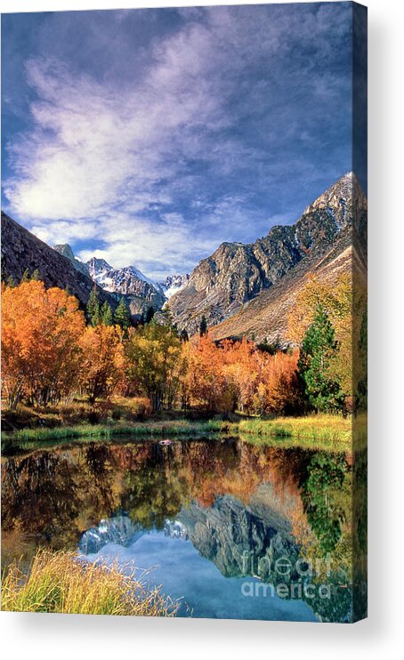 Dave Welling Acrylic Print featuring the photograph Fall Color Middle Palisades Glacier Eastern Sierras Californ by Dave Welling