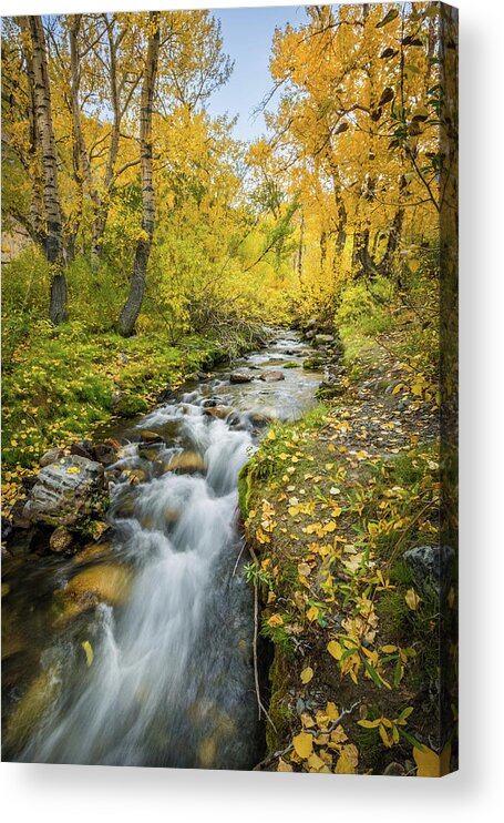 Autumn Acrylic Print featuring the photograph Fall Colors at McGee Creek by Alexander Kunz