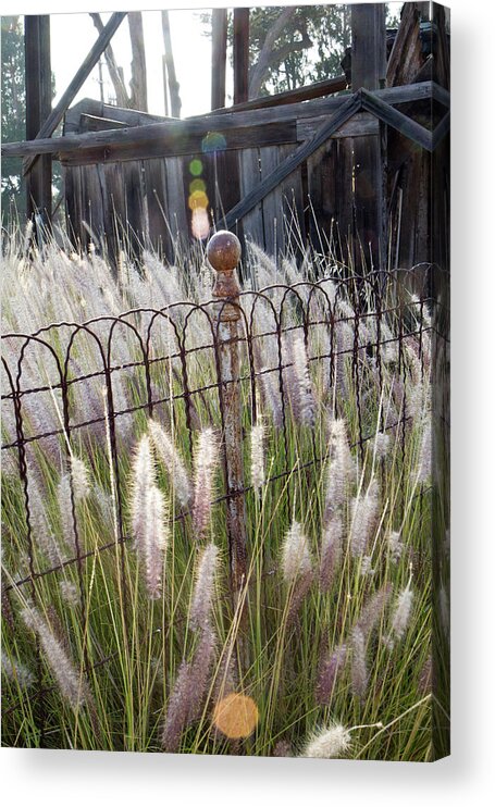 Antique Acrylic Print featuring the photograph Fence Post by Gina Cinardo