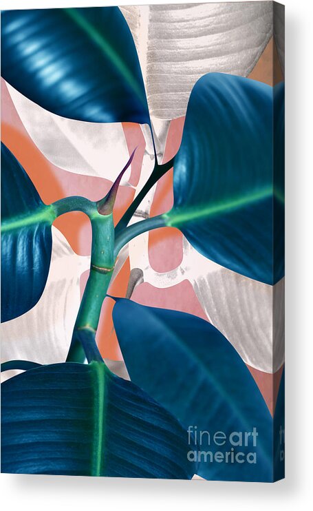 Summer Acrylic Print featuring the photograph Ficus elastica 2 by Mark Ashkenazi