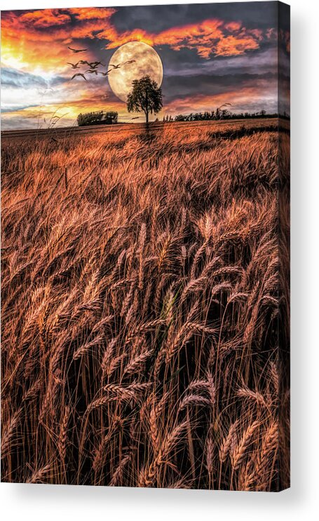 Barn Acrylic Print featuring the photograph Fields in Early Evening II Painting by Debra and Dave Vanderlaan
