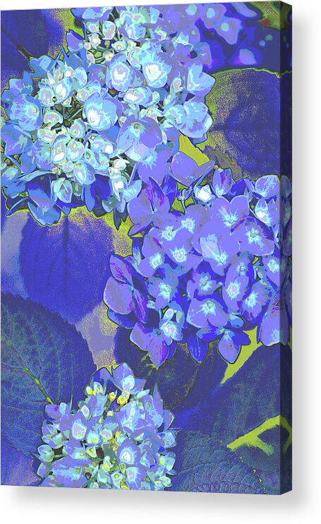 Flower Power Acrylic Print featuring the photograph Flower Power by Suzanne Powers