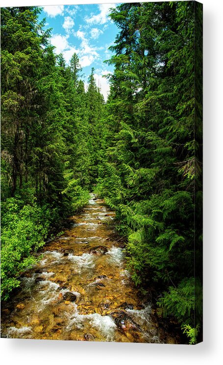 Stream Acrylic Print featuring the photograph Flowing Stream by Pamela Dunn-Parrish