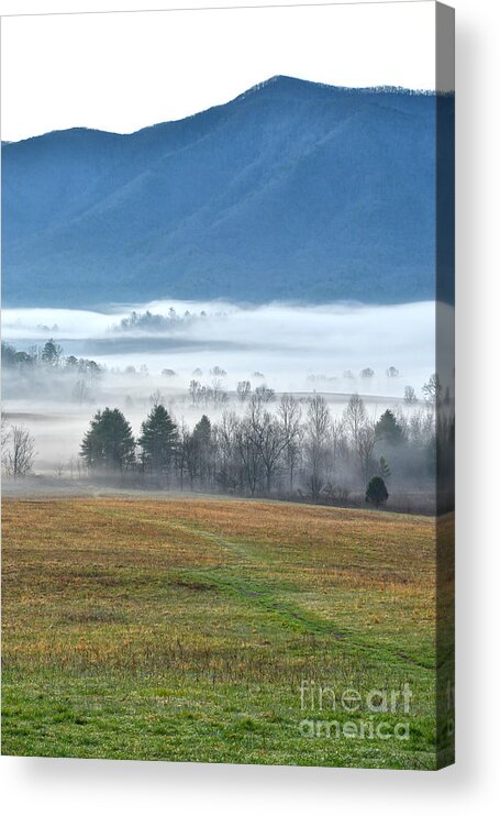 Smoky Mountains Acrylic Print featuring the photograph Fog At Cades Cove by Phil Perkins