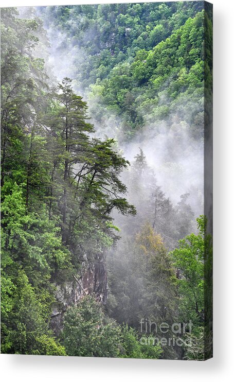 Fall Creek Falls Acrylic Print featuring the photograph Fog In Valley 2 by Phil Perkins