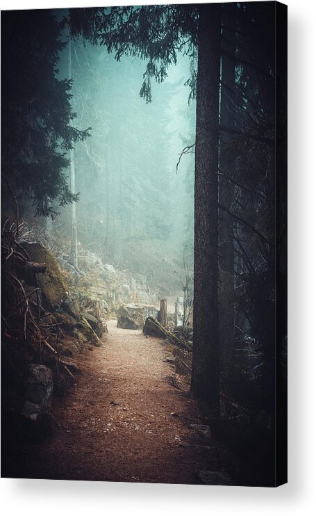 Black And White Acrylic Print featuring the photograph Forest Mysteries by Philippe Sainte-Laudy