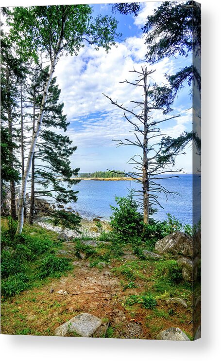 Acadia Acrylic Print featuring the photograph Forest Path by Tammy Wetzel