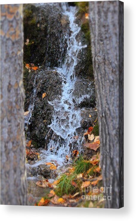 Framed Waterfall Acrylic Print featuring the photograph Framed Falls by Ann E Robson