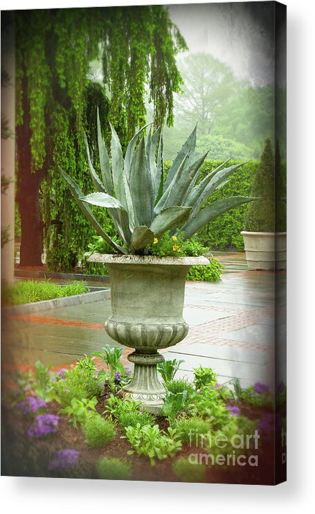 Fountain Of Youth Acrylic Print featuring the photograph Garden Vignette by Marilyn Cornwell
