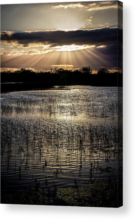 Sunset Acrylic Print featuring the photograph Glorious Rays by Gary Geddes